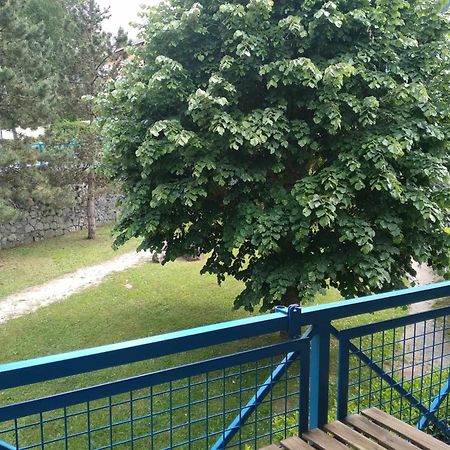 Duplex Lumineux - 40M2 - 2 Chambres - Balcon Terrasse - Parking - Entierement Renove En Mai 2024 Cauterets Eksteriør bilde